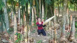 Harvest Lots of Bamboo Shoots at the Farm and Use a Horse-Wheel to Sell Them at the Country Market