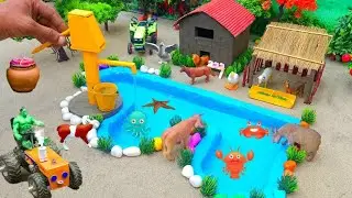 5 days building dream house for dog with water blue color swimming pool | Amazing ideas for making