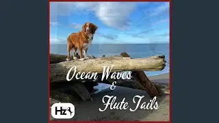 Ocean Waves & Flute Tails - Ocean Tides