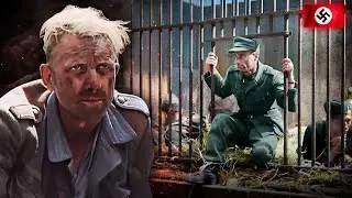 La pulizia etnica dei tedeschi dopo la seconda guerra mondiale | DOCUMENTARIO