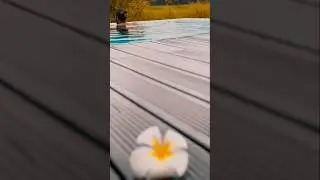 #villawithpool #privatepool #youtubeshort #travel #enjoythenatureoftheworld #trending