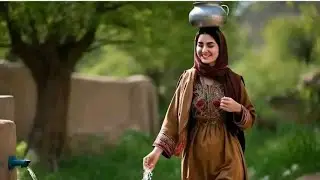 Anil baksh new pashto song 2025/انيل بخش نوي پشتو سندره 2025