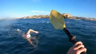 Coogee Swim from kayak support - 01/08/20 (4K vid)