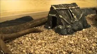 Rat en muis de aanschaf