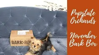 Pupstate Orchards | November 2017 Bark Box