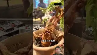 Amazing Garden #prinsipekawilan #lonelyhandsome #respect #reaction #funny #cat #garden #reelsfypシ
