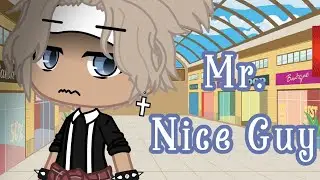 Mr. Nice Guy • gcmv