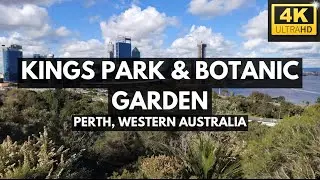 4K KINGS PARK & BOTANIC GARDEN WALKING TOUR #perth #kingspark #perthlife #perthisok #walkingtour