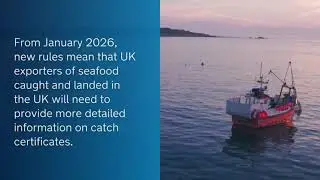 Fish, Trace, Ship - Catch Certificates
