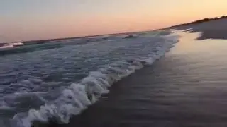 Davis Park Ocean