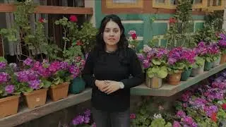 Studying Master's at CEPT | Landscape Architecture