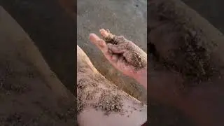 ASMR in nature 💦🐠🐚    #asmr #randomtriggers #asmrnaturerelaxation #asmrnaturesounds