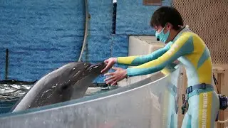 2022.02.20 ニコナイト / 新江ノ島水族館