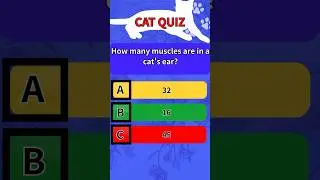 Cat Quiz Time! Guess the Right Answer＃1-　#catquiz 　#CatQuiz#CatTrivia#FelineFacts#Quiz