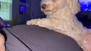 pink  .  ASMR