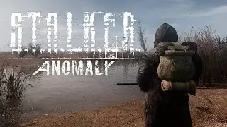 ☢️ S.T.A.L.K.E.R Anomaly1.5.3 🔥 За Учёного ПРОХОЖДЕНИЕ.