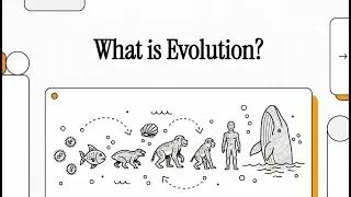 What Is Evolution? Biological Diversity, Populations, and Common Ancestry