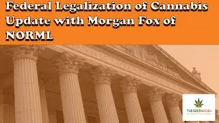 Federal Legalization of Cannabis Update with Morgan Fox of NORML
