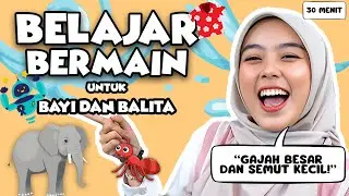 Belajar Bicara Untuk Balita Bersama Kak Nisa - Mengenal hewan, Mengenal Kata, Lagu Interaktif Balita