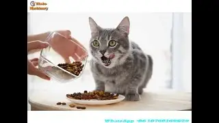 Jinan Halo dog/cat/fish food--pet food making machine line