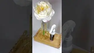 Room & Linen Spray by Essentials & Beyond 🍂 room #livingroom #roomspray #fyp #home #house #luxury