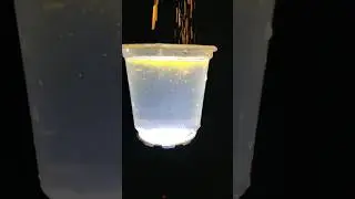 phone flash light + glass water and #termeric #trending #experiment #shorts