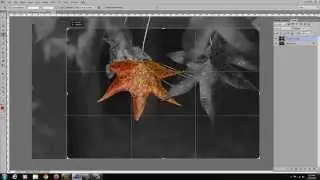 Selective Color in Photoshop