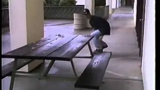 the chalker chronicles 1991
