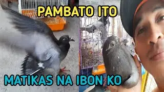 NAPAKALUPET NA KALAPATE MPC2022 NORTH BY ERGEM VLOG
