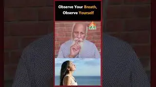 Observe Your Breath, Observe Yourself #pmcenglish #pssm #patriji