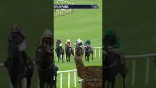 Some other notable performances on Racing TV from Romantic Symphony, Faiyum, Almeric & Ice Dancer
