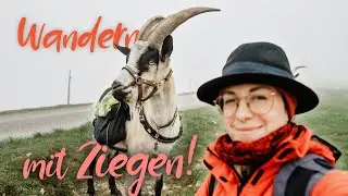 WAS DU NICHT SIEHST... | Ziegentrekking Naturpark Gantrisch