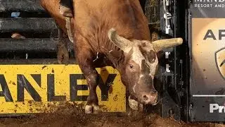 TOP BULL: Bushwacker bucks off Joao Ricardo Vieira (PBR)