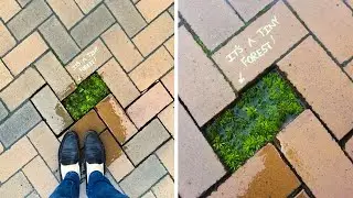 Random Acts Of Genius Vandalism