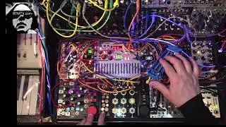 Modular Synthesizer LIVE SynthStream O-Coast & Morphagene & Folktek with Bill T Miller  BTMTV S1Ep06