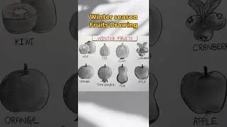 Easy Fruits Drawing | Winter season Fruits Drawing #fruitpainting #fruitdrawing