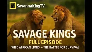 Savage Kings (Full Episode) | Wild African Lions &ndash; Battle for Dominance