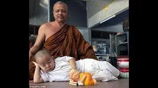 small monk sleep(funny video)