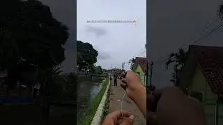 Mode sambitan🪁😂#layangan #hobilayangan #cover #kite #shorts #shortvideo #shortsfeed #shortsviral