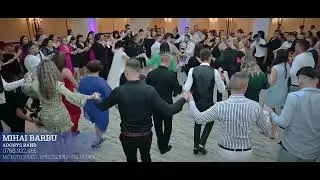 🏆MIHAI BARBU & ADONYS BAND 🏆 - VERDE SIMINOC (COVER COLAJ HORE )💥