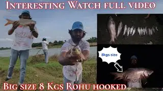 Monster 8kgs Rohu Fish | Big Massive size rohu hooked! #fishing #bigfish #rohu #fishinglife 
