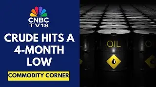 Crude Oil Prices Fall 2% Overnight, Near 4-Month Low As OPEC+ Nov Output Hike Could Be 5,00,000 Bpd