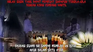 SUAMI BAGI JATAH SAMA RATA! ISTRI 15 AKUR, PAKAI AJIAN BUNGA KANTIL & DIMINUMKAN KE SEMUA ISTRI