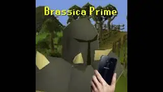 Runescape - Brassica Prime - (AI)