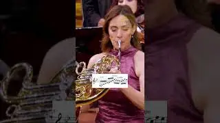 Very deep tone on Mozart K447 cadenza by Sarah Willis!!! #classicalmusic #music #musician #orchestra