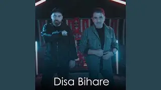 Disa Bihare