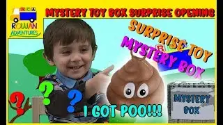 Mystery Box Surprise Toys Opening | RowanVentures
