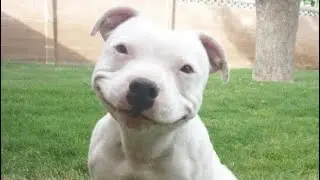 MAMA JA PUPSIIII