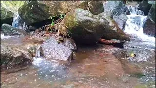 Soft River Flow for Deep Relaxation(10)