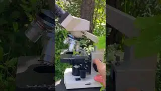 Holy water under a microscope pt2